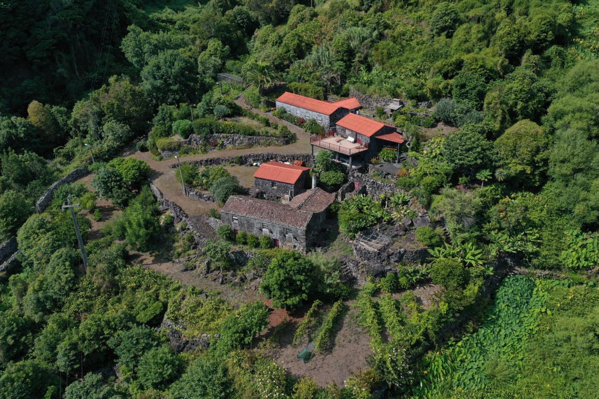 Vistalinda Farmhouse Faja dos Vimes 外观 照片